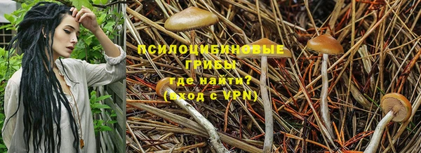 первитин Абинск